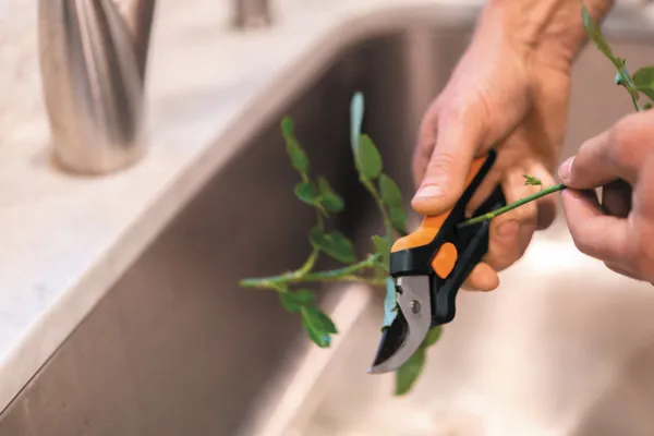 Ножиці для обрізки квітів Fiskars Solid SP14 з доставкою