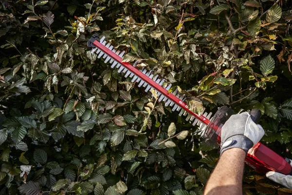 Кущоріз акумуляторний SKIL 0438 CA безщітковий 20В акб 1х2.5А·год 45см крок різу 20мм 1.9кг заказать