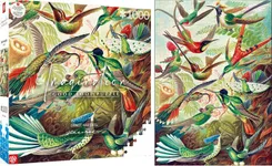 Пазл Imagination: Ernst Haeckel Hummingbirds 1000 эл. фото