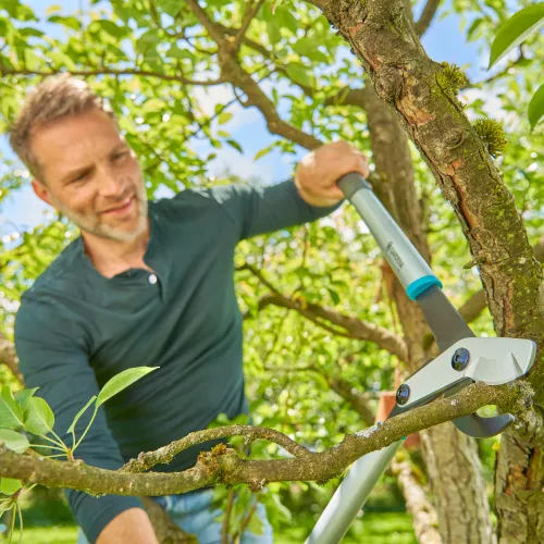 Сучкорез Gardena EnergyCut basic 42 мм купить в Украине