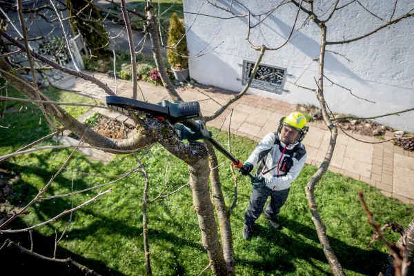 Пила цепная аккумуляторная Metabo MS 18 LTX 15 18В 1х2А·ч шина 15см 5м/сек 2кг отзывы