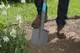 Лопата садовая штыковая заостренная Gardena NatureLine D-образная рукоятка 117 см фото №5