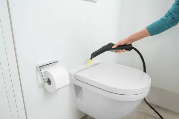 Пароочиститель Kärcher SC 2 EasyFix Plus купить в Украине