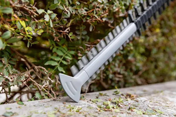 Кущоріз акумуляторний Bosch Professional GHE 18V-60 18В 60мм крок різу 23мм 2.3кг без АКБ та ЗП купити в Україні